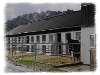 Mehr landwirtschaftliche Bauten